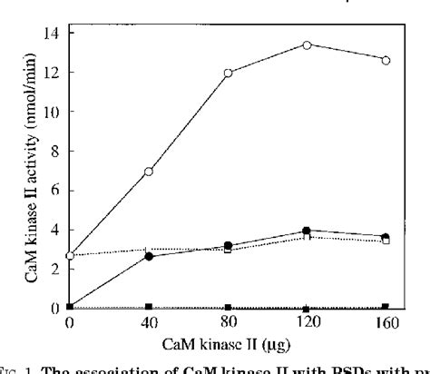 Figure 1 From Phosphorylation Dependent Reversible Association Of Ca2