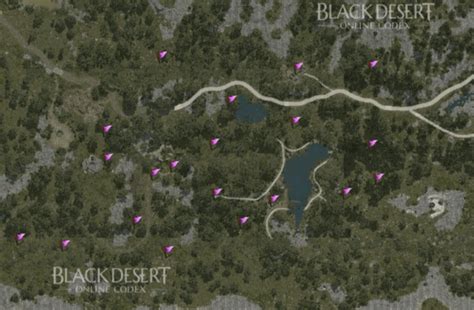 Bdo Bartalis Adventure Log Guide Black Desert Online Grumpyg