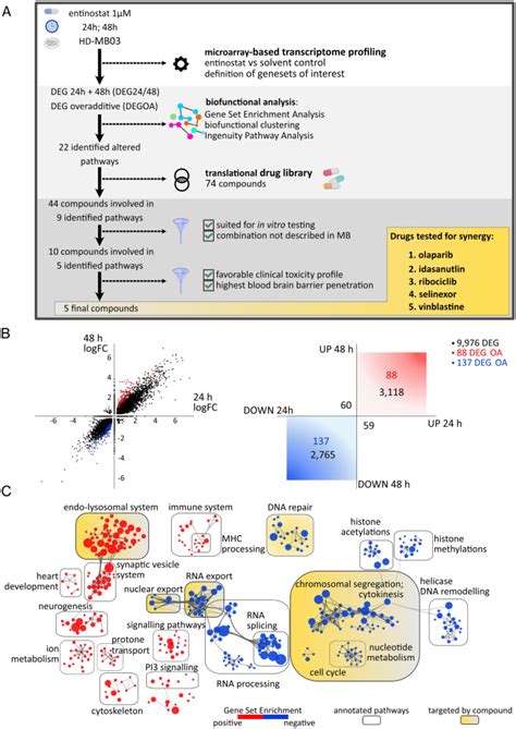 Class I Hdac Inhibition Reduces Dna Damage Repair Capacity Of Myc