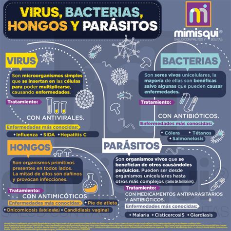 ¿cuáles Son Las Diferencias Entre Virus Bacterias Y Parásitos