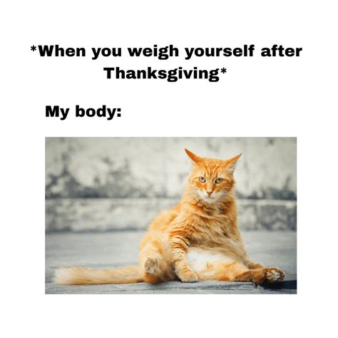 Thanksgiving Cat Memes