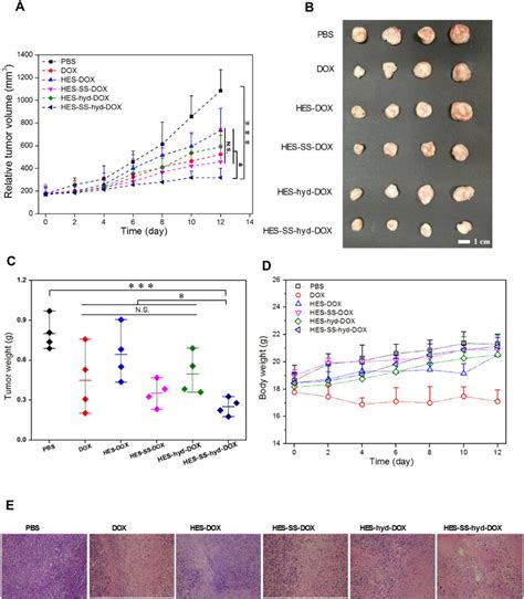 In Vivo Antitumor Efficacy A Time Varying Tumor Volumes During