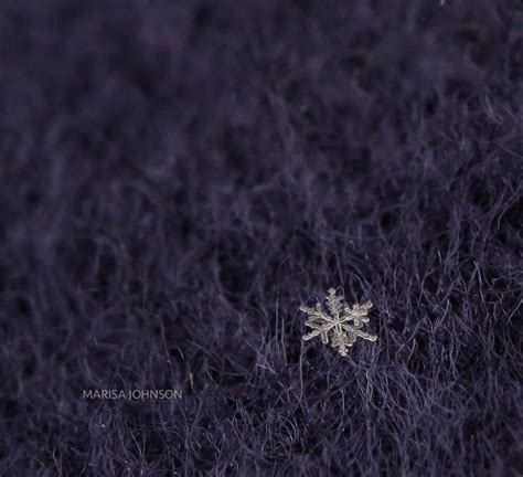 3 Simple Tips For Snowflake Macro Photography