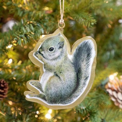 animal rescue for squirrels 5