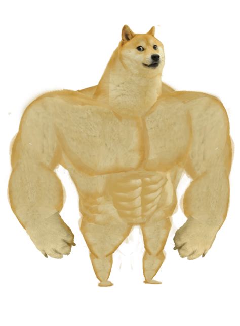 Buff doge Blank Template - Imgflip