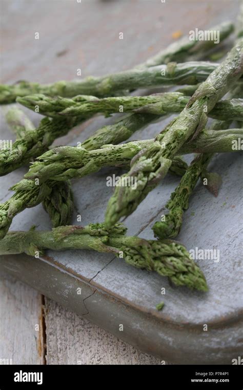 Freeze Dried Asparagus Stock Photo Alamy