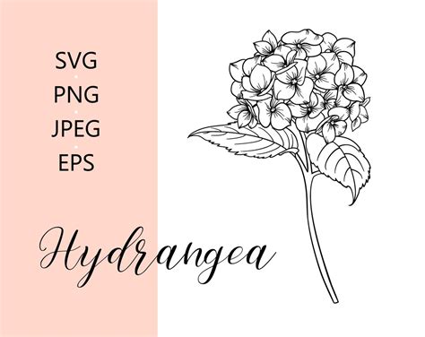 Hydrangea Svg Hydrangea Flower Svg Flower Cut Files Flower Clipart