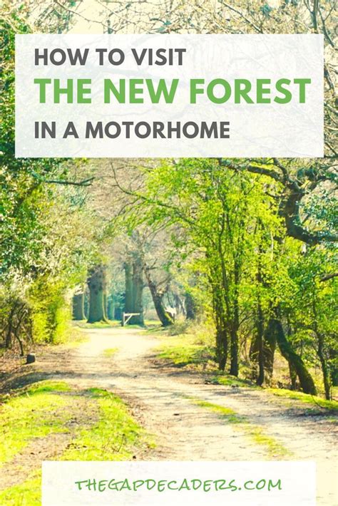 Top 16 New Forest Outdoor Activities New Forest European Road Trip