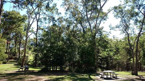 Grey Gum Picnic Area Sir Samuel Griffith Dr Mount Coot Tha Qld