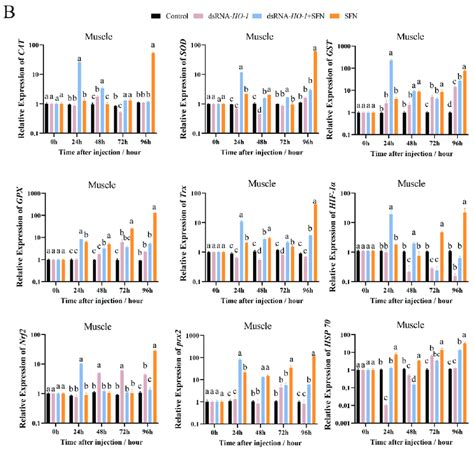 The Expression Of Antioxidant Related Genes Cat Sod Gst Gpx Trx