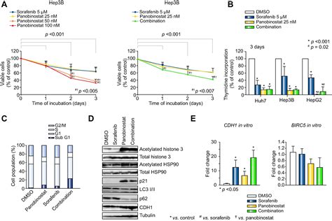 Combination Therapy For Hepatocellular Carcinoma Additive Preclinical