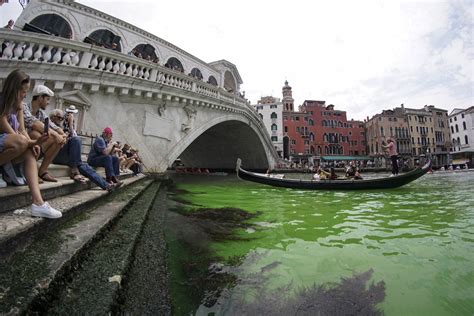 Zielona Plama Na Canal Grande W Wenecji To Nie Sprawka Ekolog W Na