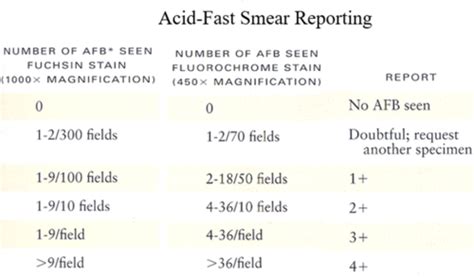 Bacteriology Lab Gram Stain And Acid Fast Stain Flashcards Quizlet