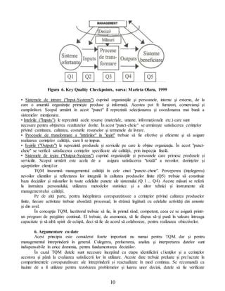 Managementul Calitatii Totale Pdf