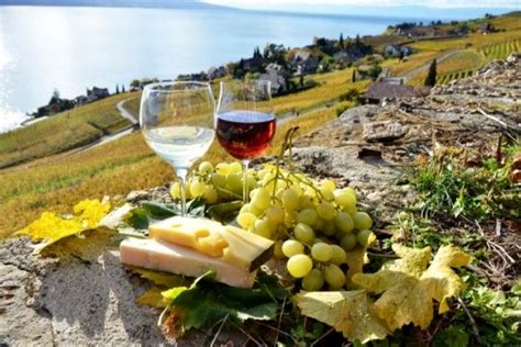 A Guide To The Exhilarating Wine Tasting Of Santorini Greece Travel