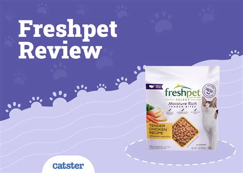 Freshpet Cat Food Review Of 2025 Recalls Pros And Cons Catster