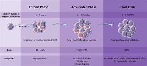 Preclinical Approaches In Chronic Myeloid Leukemia From Cells To