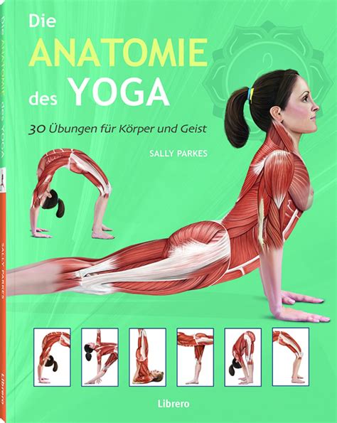 Die Anatomie Des Yoga Von Sally Parkes Buch 978 90 8998 621 4