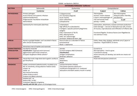 gram negative bacilli