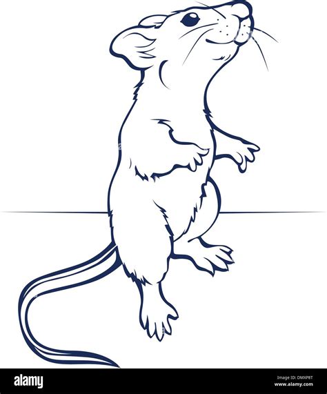 Rat cartoon hi-res stock photography and images - Alamy