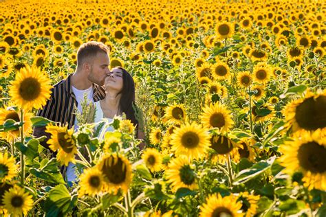 Sunflower Field Engagement Photos