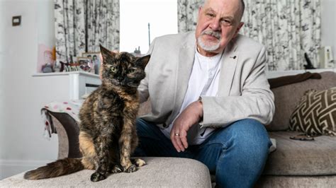 World's 'OLDEST' cat lives in the UK and is '29 years old' - as owner ...