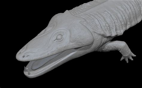 Mastodonsaurus Giganteus Modelo 3d 85 Unknown Free3d