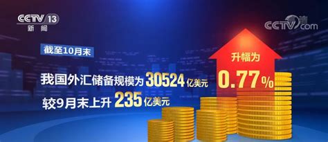 我国经济韧性强 继续支持外汇储备规模保持总体稳定新闻频道央视网