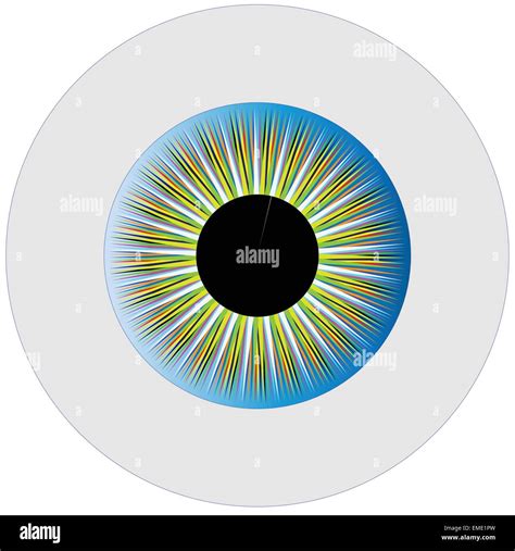 Pupila Del Iris Fotografías E Imágenes De Alta Resolución Alamy