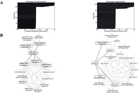 Predictive Functional Net Clusters Yield Novel Phenotypic Enhancing And