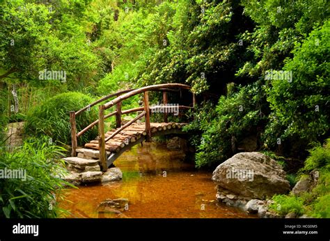 Garden bridge, Zilker Botanical Garden, Austin, Texas Stock Photo - Alamy