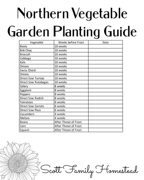 Vegetable Garden Planting Guide Fasci Garden