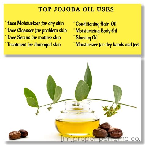 What Is Jojoba Oil Jojoba Oil Uses Oil Face Cleanser Face Serum