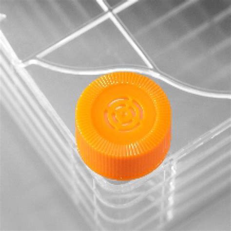 Cell Factory - Atlantis Bioscience Pte Ltd