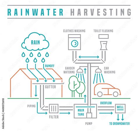 Rainwater Harvesting Scheme Editable Isolated Vector Illustration