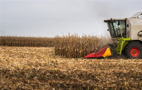 Combine Harvester in Evening Action Stock Photo - Image of soil, land ...