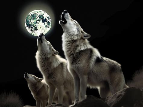 Premium AI Image | Two wolves howling at the moon with their ears up ...