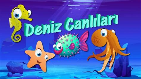 Deniz Hayvanlar Tan Yal M Deniz Canl Lar Reniyoruz Denizde