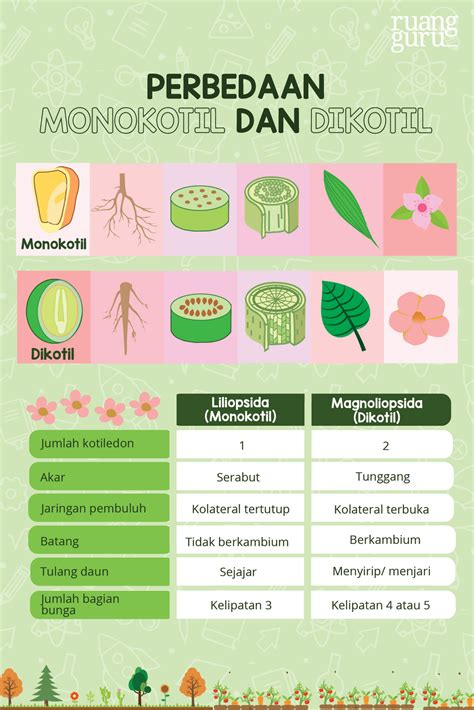 Biologi Kelas 10 Perbedaan Tumbuhan Berbiji Terbuka Dan Tumbuhan Berbiji Tertutup Belajar