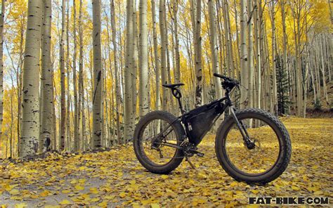 Wallpaper Wednesday Moonlander With Aspens Fat Bikecom