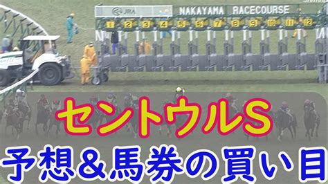 【競馬予想無料公開】セントウルステークス2022年の競馬の本命予想！2強対決だ！｜スマイルトレンド情報