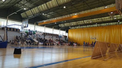 Las 10 Mejores Escuelas de Baloncesto para Niños en Aljaraque