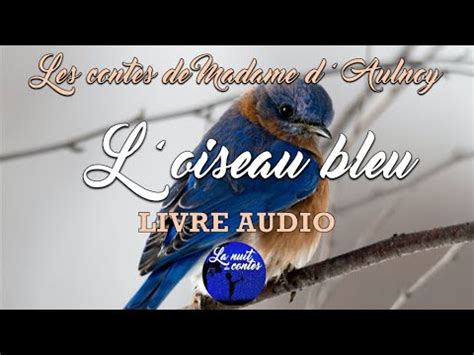 L Oiseau Bleu Les Contes De Madame D Aulnoy Livre Audio YouTube