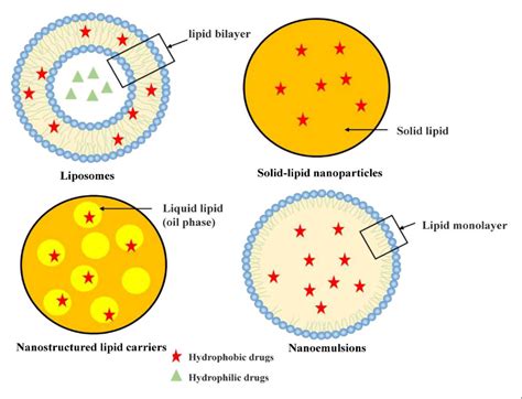 Figure From A Review On Polymer And Lipid Based Nanocarriers And Its