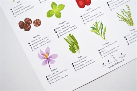 Herbs And Spices Guide Poster A4 A3 A2 Kitchen Print Food Etsy Denmark