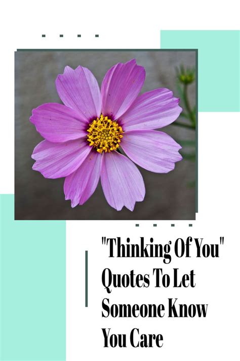 Thinking Of You Quotes To Let Someone Know You Care Thinking Of