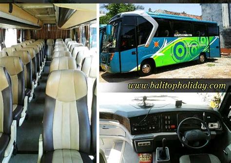 Sewa Bus Bali Murah Untuk Tour Dan Jalan Jalan Temanbali By Bali