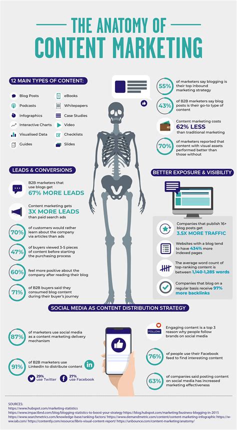 The Anatomy Of Content Marketing Infographic Solvid