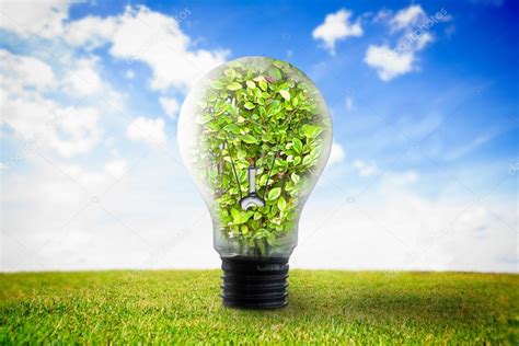 Light Bulb With Plant Inside Stock Photo By Wavebreakmedia