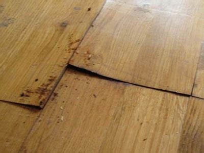 Wood Floor Repair Water Damage – Flooring Ideas